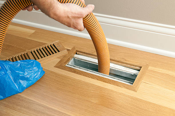 Best Air Duct Sanitizing Services  in White Pigeon, MI